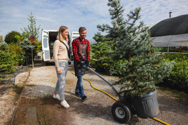  Middlesex, NC Tree Service Pros